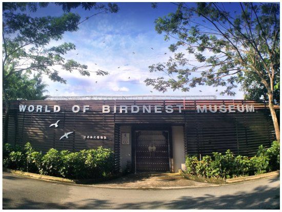 World of Birdnest Museum